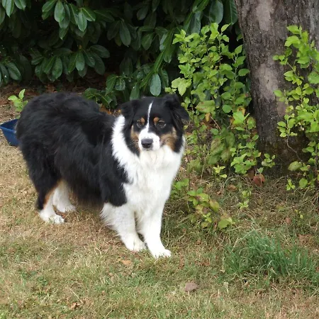 La Zénitude Hébergement de vacances *