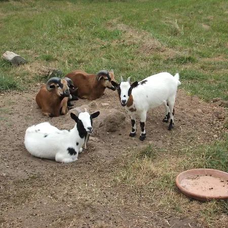 La Zenitude * Les Lèches