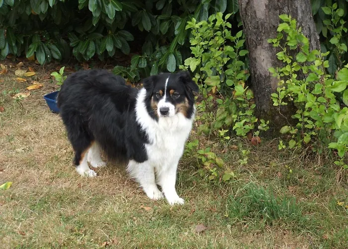 La Zenitude Ferienhaus *